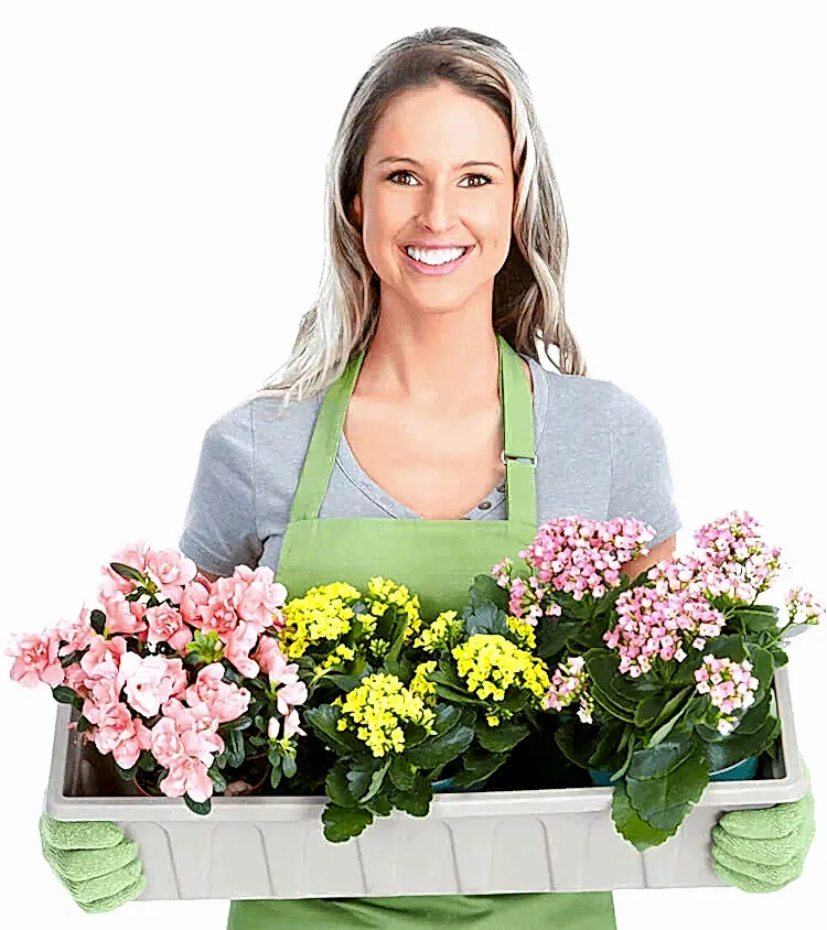 Гринстройсервис