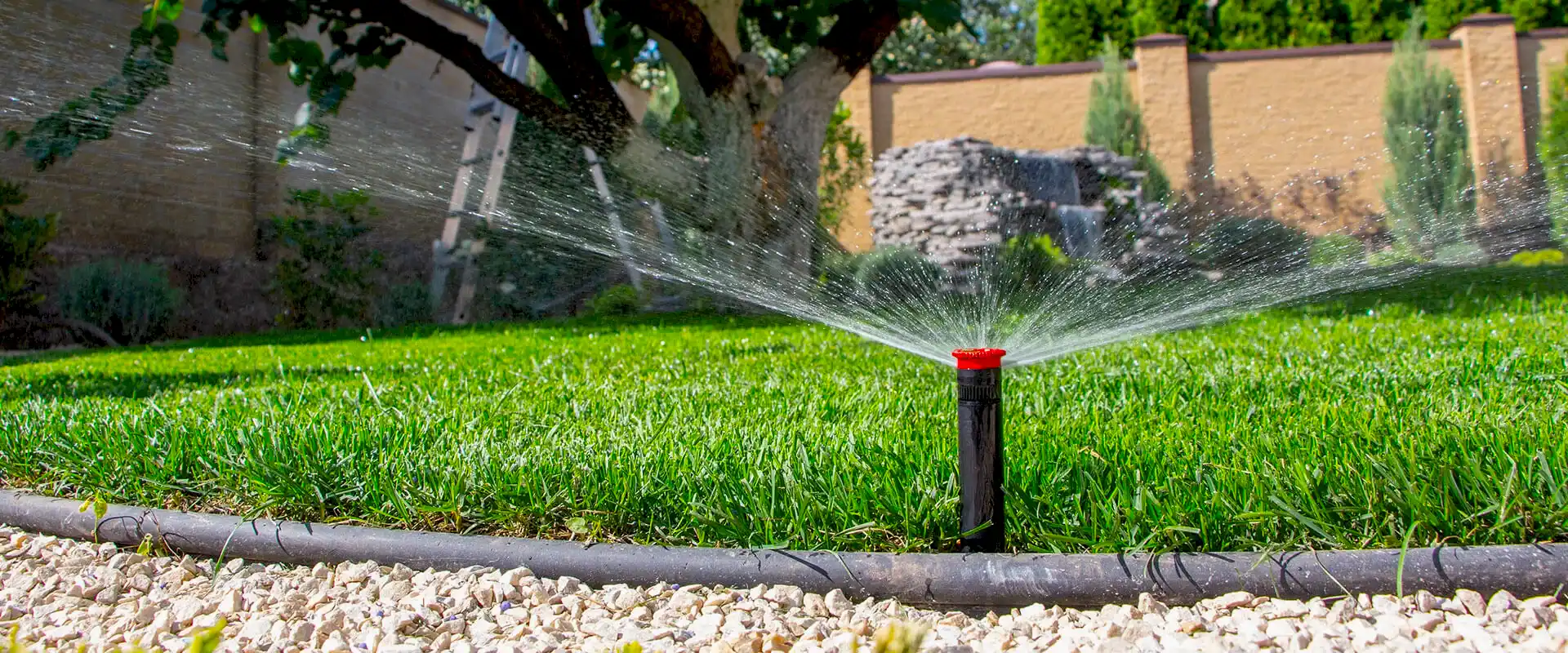 автоматический полив