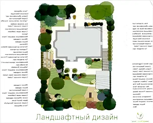 Дендроплан