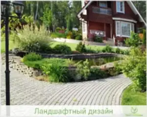 Элементы ландшафтного проекта