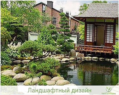 Ландшафтный дизайн в восточном стиле