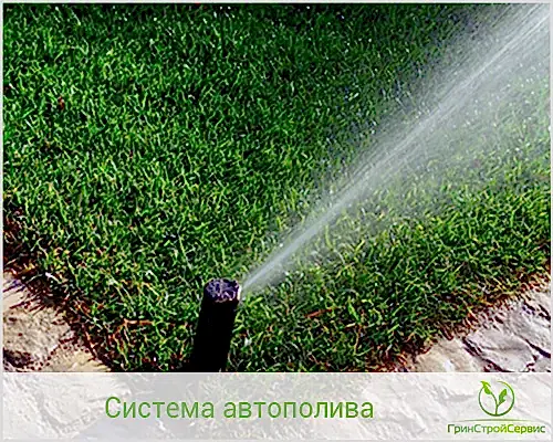 Купить автополив в Алматы