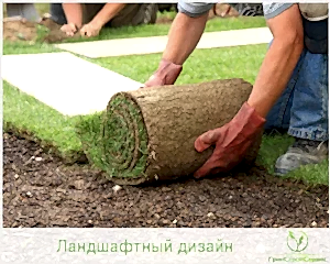 Укладка рулонного газона