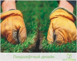 Подготовка к укладке газона