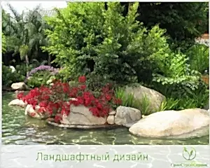 Дизайн водоема для купания