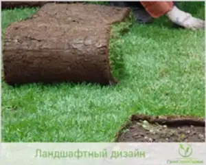 Укладка рулонного газона