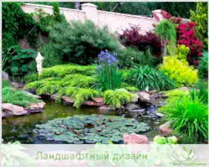 Уход за искусственным водоемом