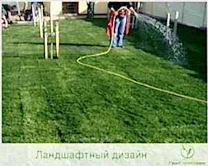 Уход за рулонным газоном