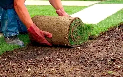 как укладывать рулонный газон