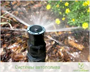 монтаж системы автополива