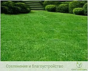 Озеленение и благоустройство