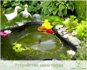 Обустройство мини пруда