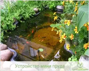 Декорирование пруда