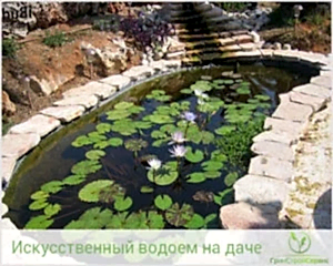 Что нужно предусмотреть при строительсвте водоема на даче?