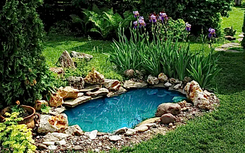 устройство мини пруда