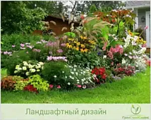 Составляющие ландшафтного дизайна