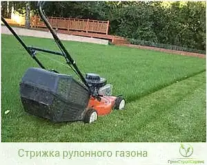 Как правильно стричь рулонный газон