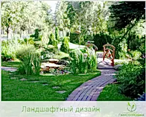 Зона отдыха на участке