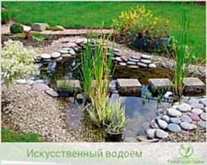 Искусственный пруд в китайском стиле