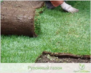 Как выбрать рулонный газон