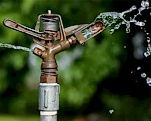 система капельного полива для теплицы купить