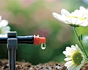 система капельного полива для теплицы купить