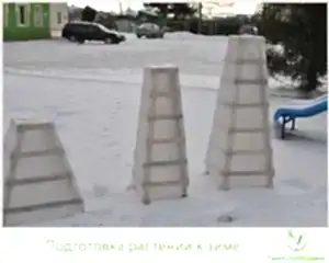 Как правильно подготовить растения к зиме