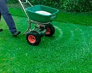 уход за газоном осенью подготовка к зиме