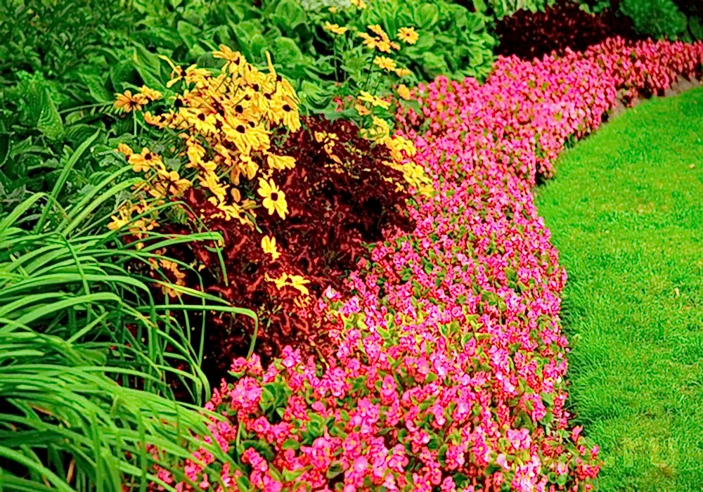 Ландшафтный дизайн фото алматы