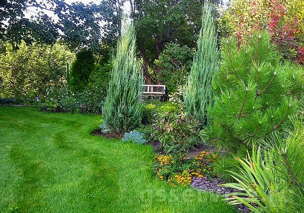 Ландшафтный дизайн двора частного дома