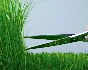 уход за газоном осенью подготовка к зиме