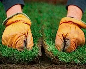 укладка рулонного газона