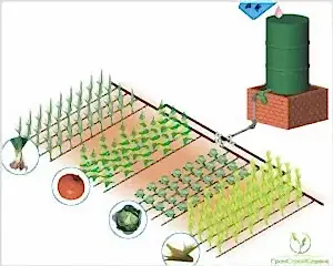 автоматический полив для дачи и огорода