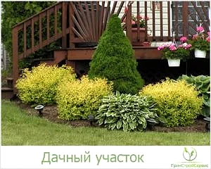 Ландшафтный дизайн дачного участка в Алматы