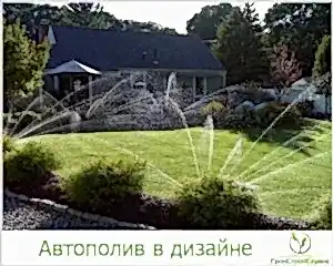 автополив ландшафтный дизайн