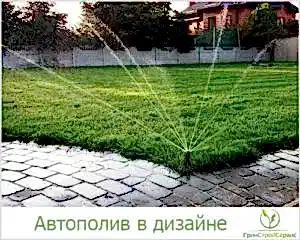 автополив ландшафтный дизайн