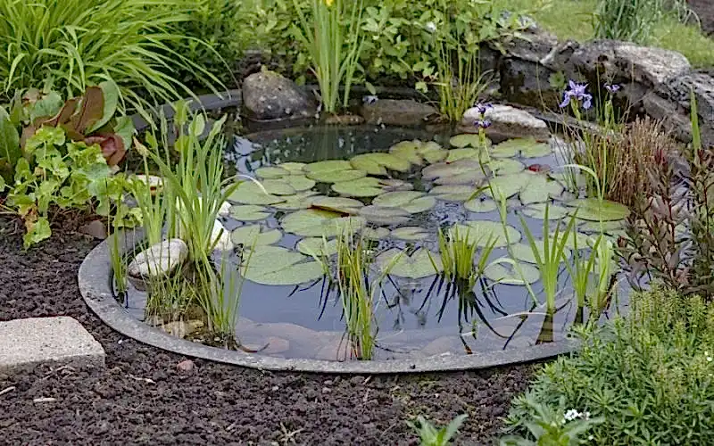 декоративный водоем на даче