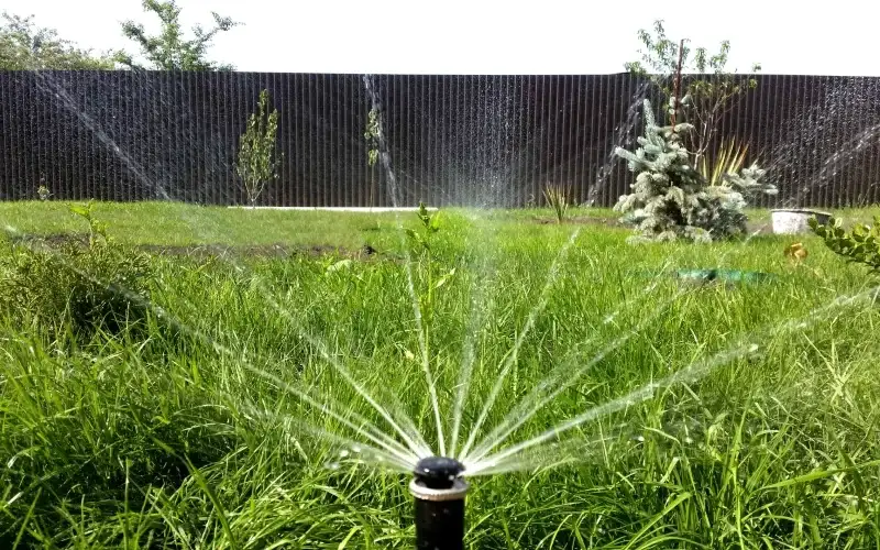 дождеватели в системе полива