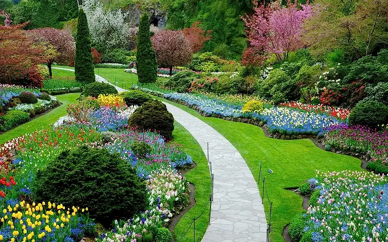 ландшафтный дизайн фотогалерея работ