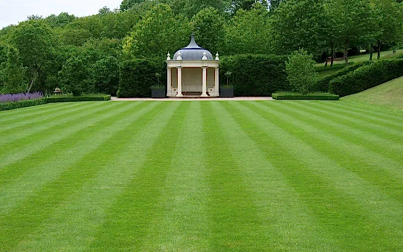 Универсальный рулонный газон