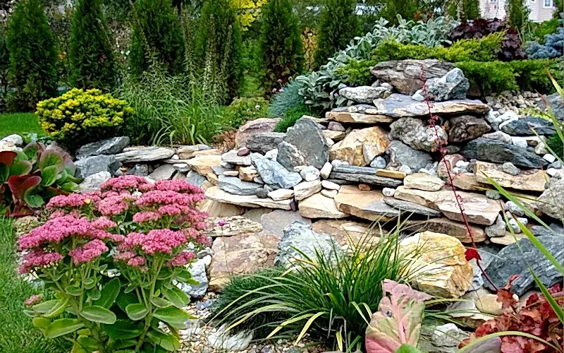 рокарий в ландшафтном дизайне