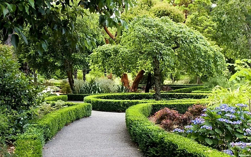 ландшафтный дизайн участка в Алматы