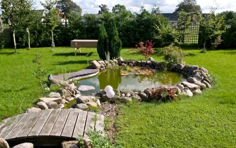 Декоративный пруд в ландшафтном дизайне