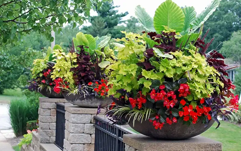 Контейнерное озеленение в ландшафтном дизайне