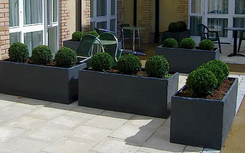 Контейнерное озеленение в ландшафтном дизайне